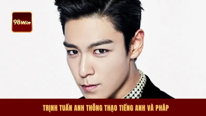 Trịnh Tuấn Anh thông thạo tiếng Anh và Pháp